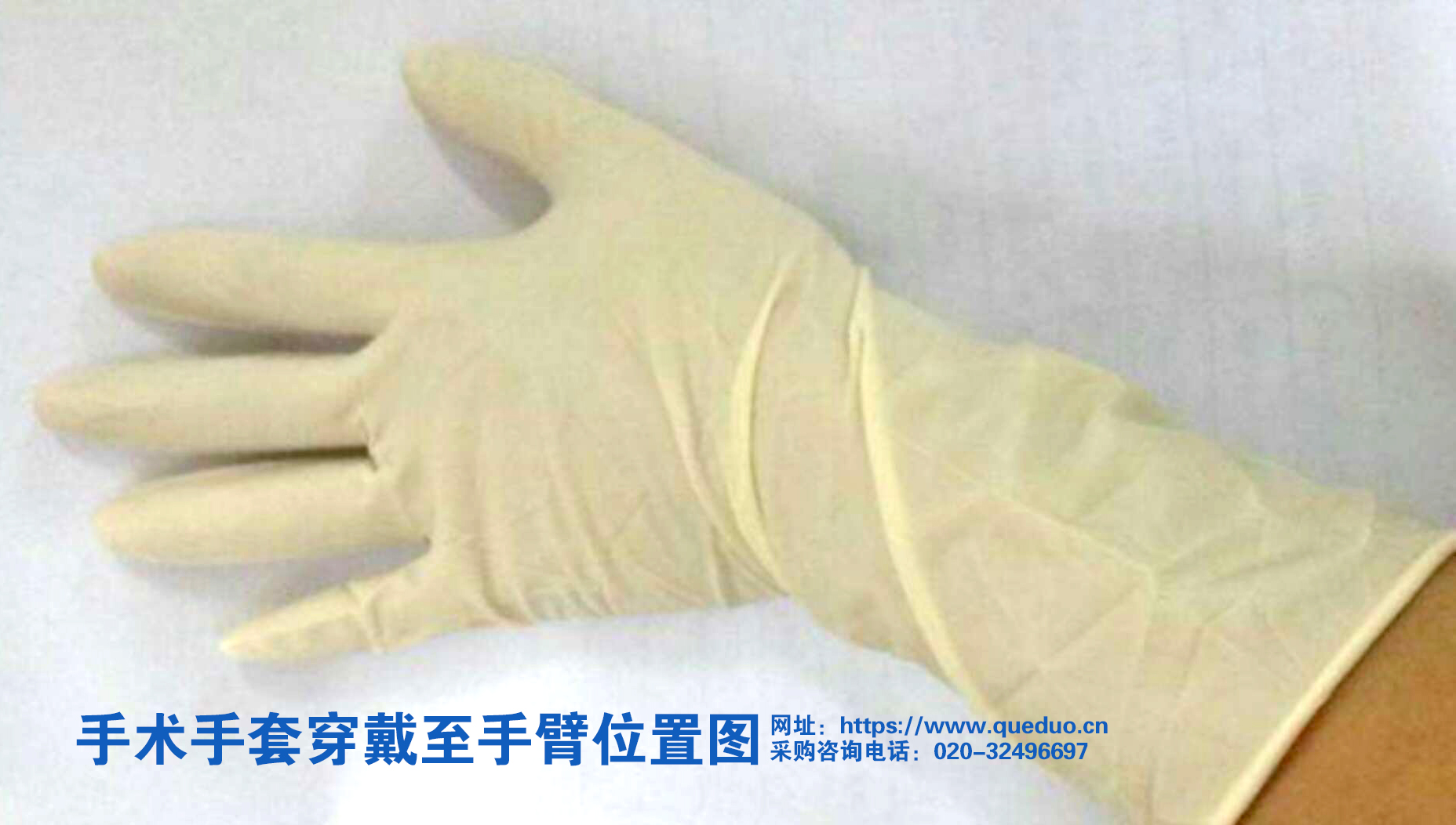 恒生外科手套到手臂长度.jpg