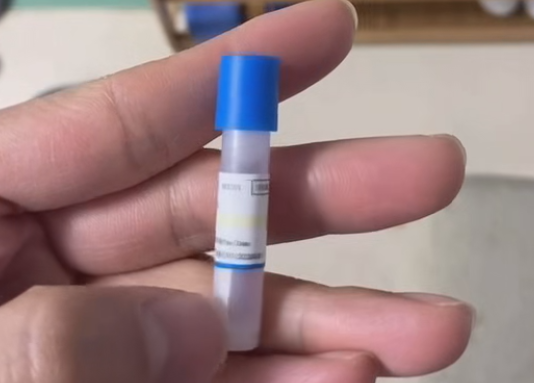 嗜热牙孢试管视频